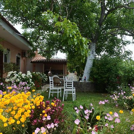 Mina'S Serene Garden House كونتوكالي المظهر الخارجي الصورة